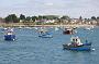 443 Auray - Golfe de Morbihan